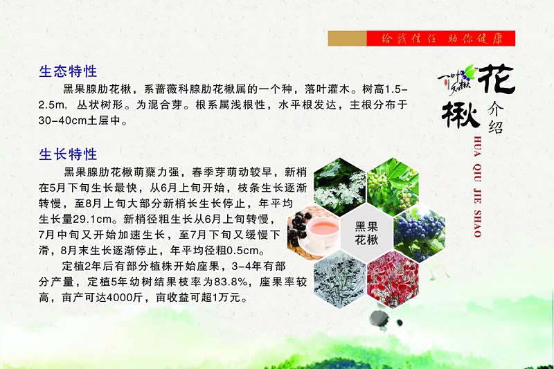 贝斯特 - 全球最奢华的游戏平台